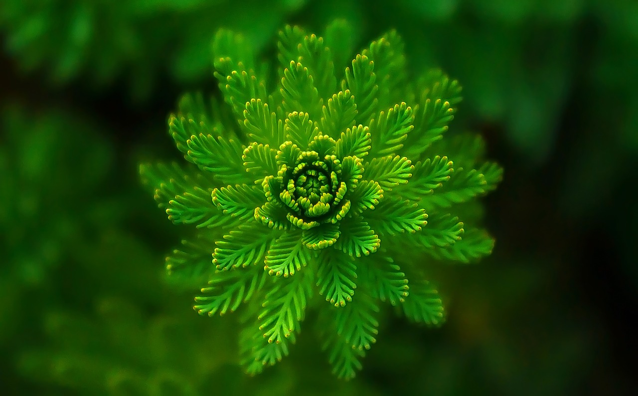 The Imminent Future of Green Energy Solutions